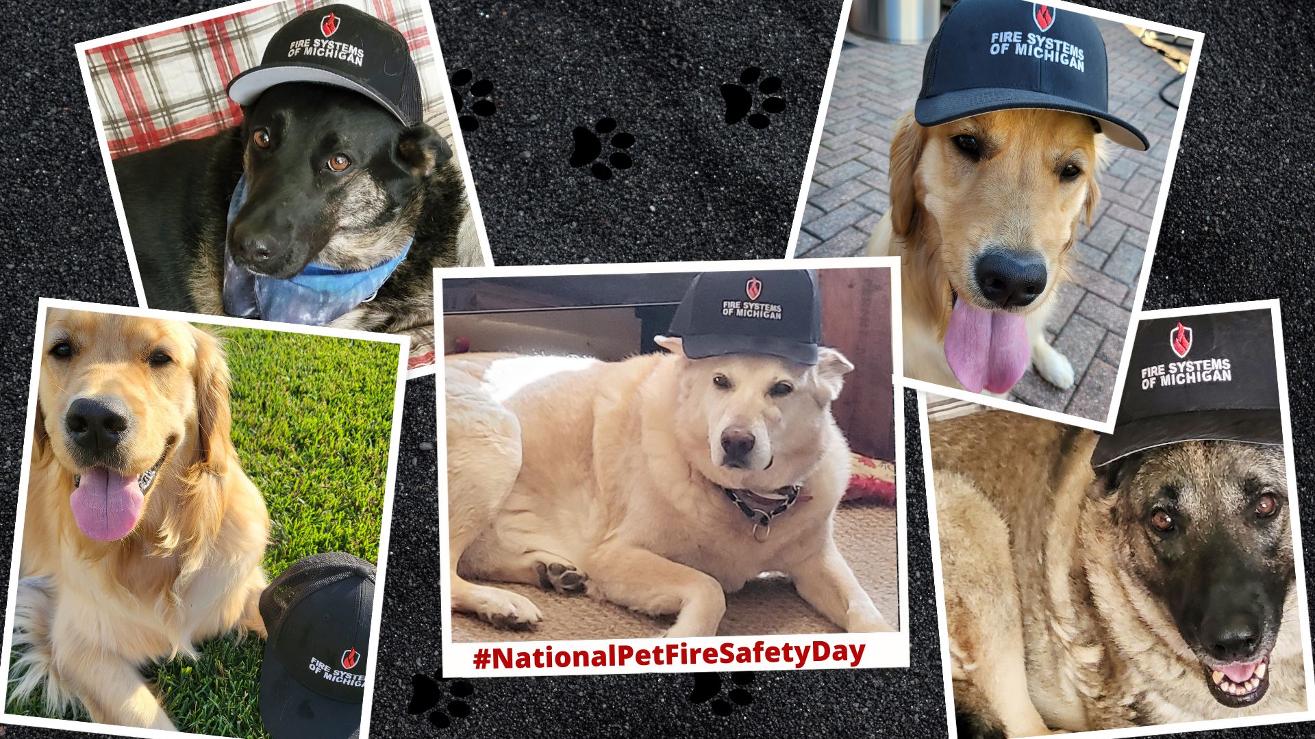 National Pet Fire Safety Day