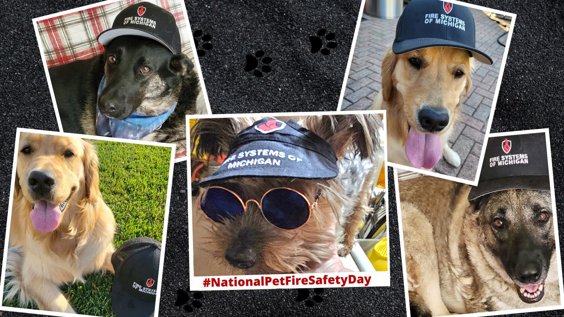 National Pet Fire Safety Day